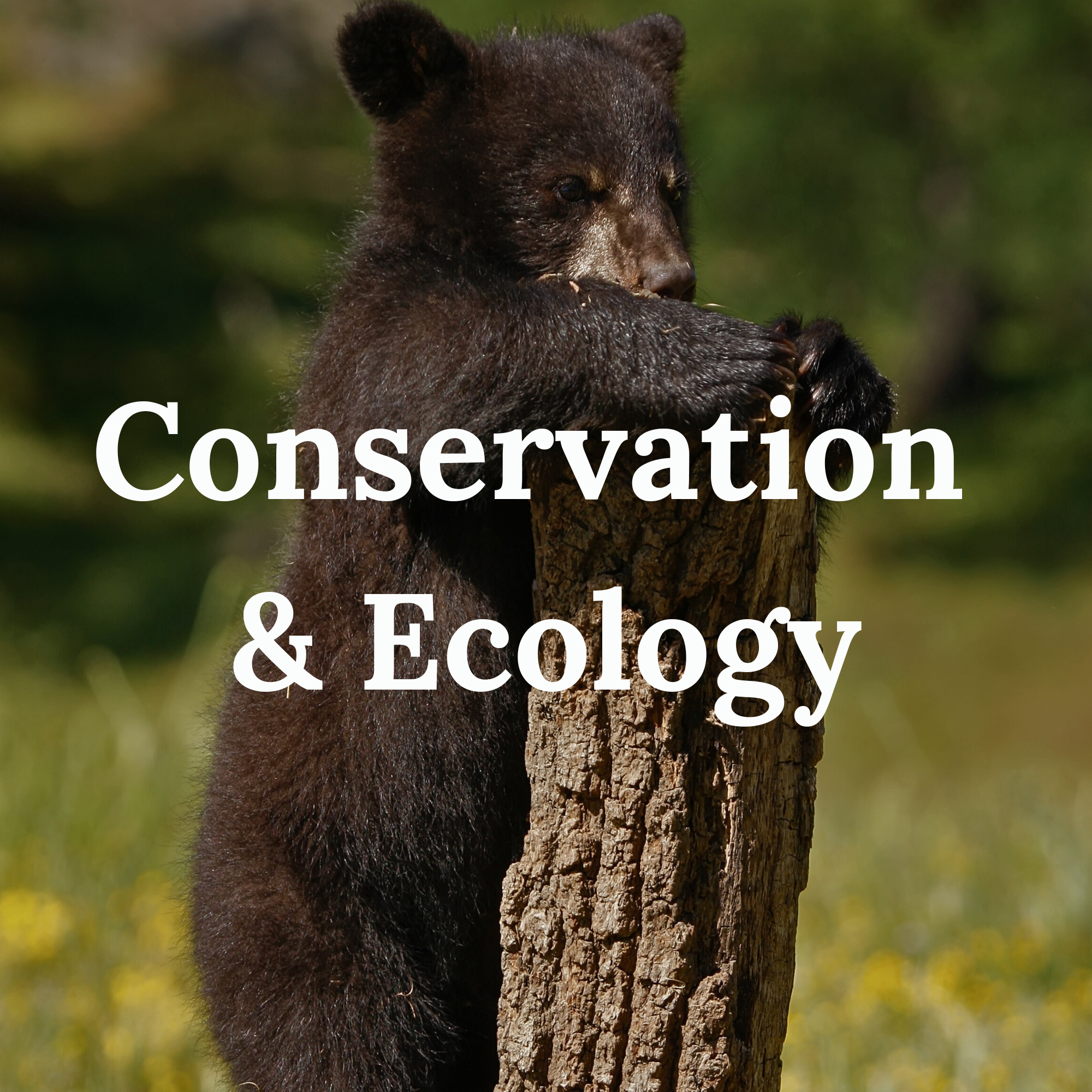 Conservation and Ecology - Education and Resources