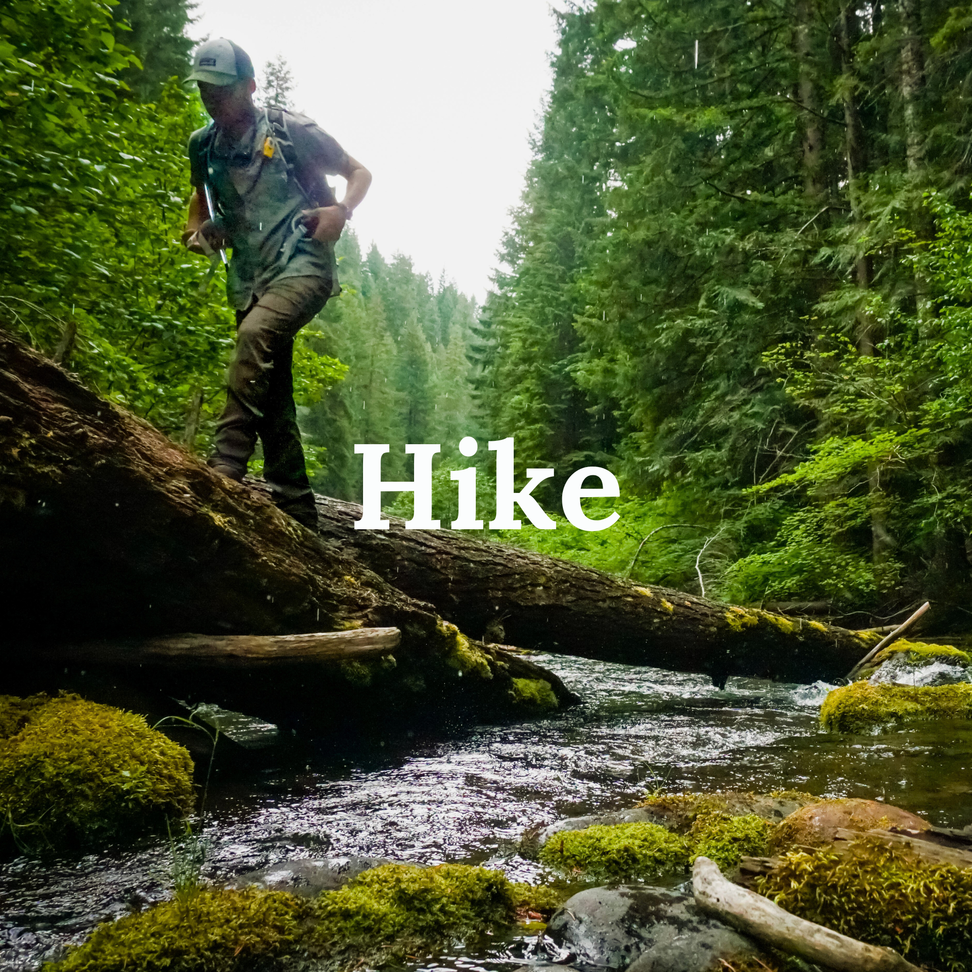 The best hiking trails in the Pacific Northwest, along with all the essential beta you need to plan your trip successfully.