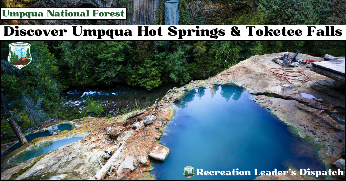 Steam rising from Umpqua Hot Springs surrounded by forest, with a view of Toketee Falls in Umpqua National Forest.