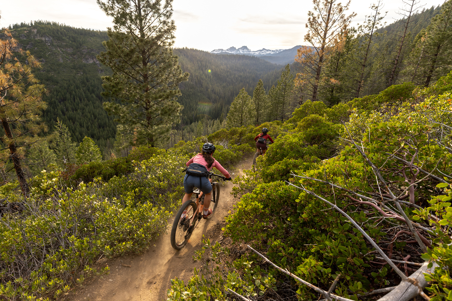 Mountain Biking Phil's Trailhead Area Bend, Oregon