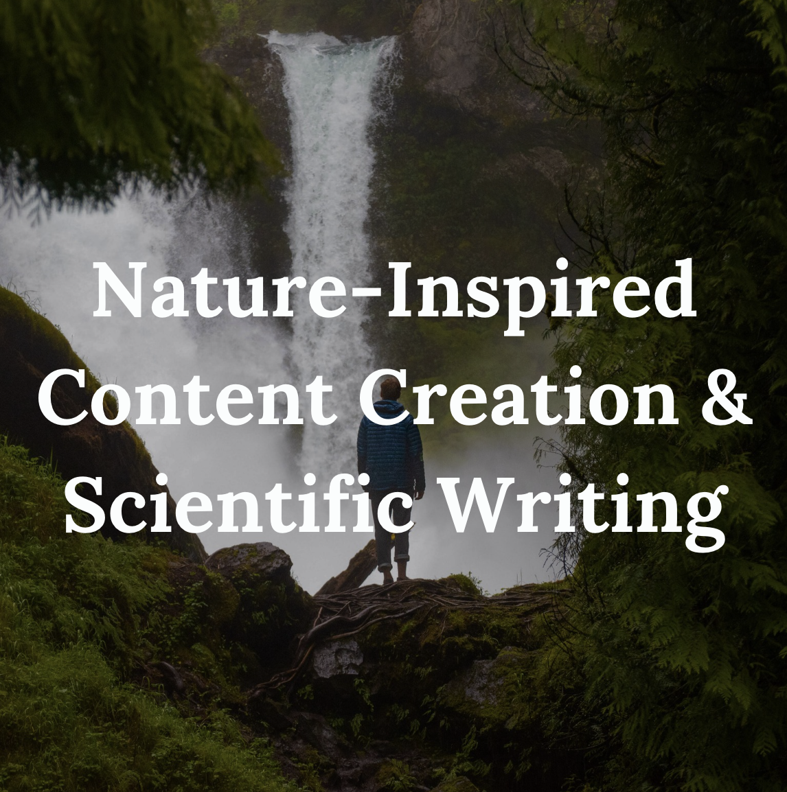 There's a lost art to translating complex scientific information into something that's both understandable and engaging. That's where we come in. Learn how we help you and your organization deliver scientific knowledge to a wider audience through visually appealing, nature-inspired content.