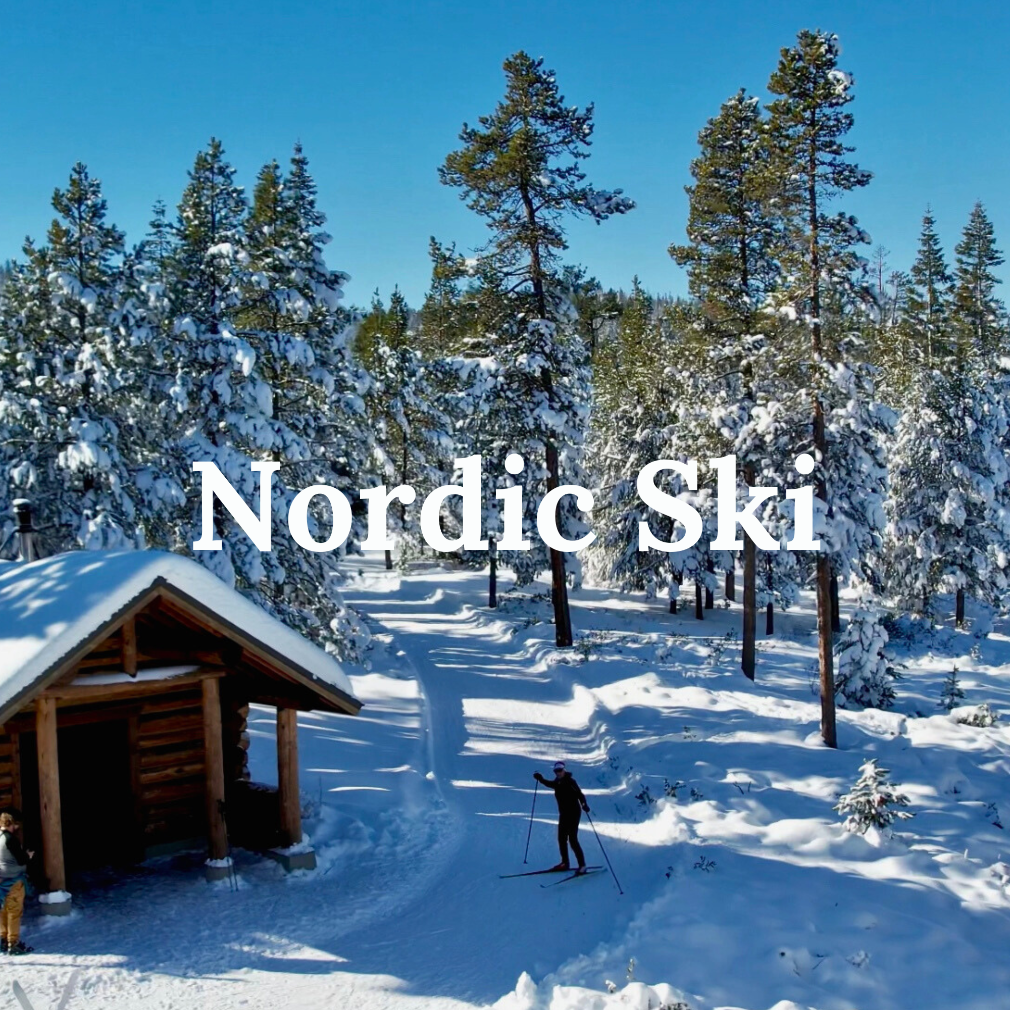 Nordic Ski - Snow - Outdoor Recreation