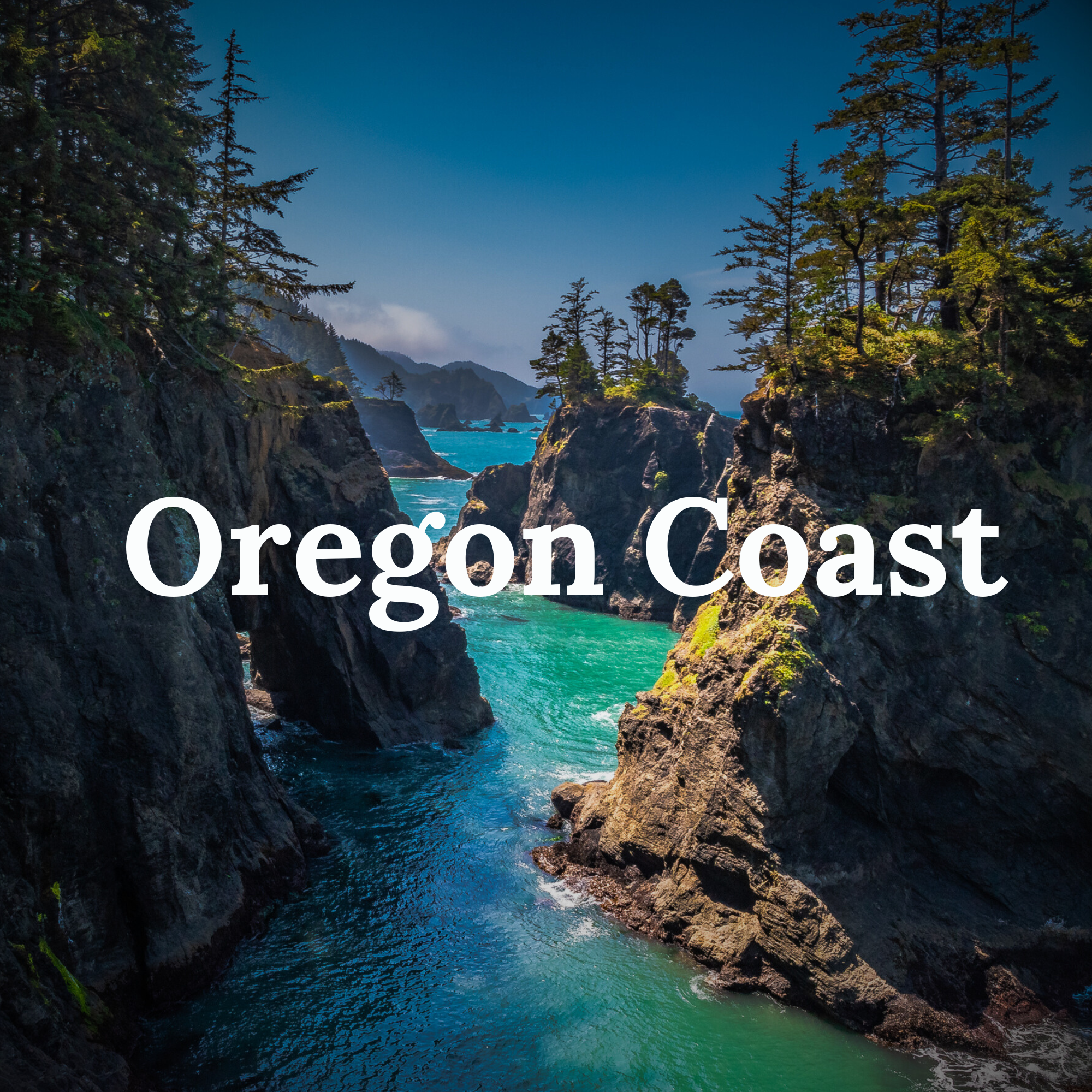 Oregon Coast Mountain Biking Cover Photo