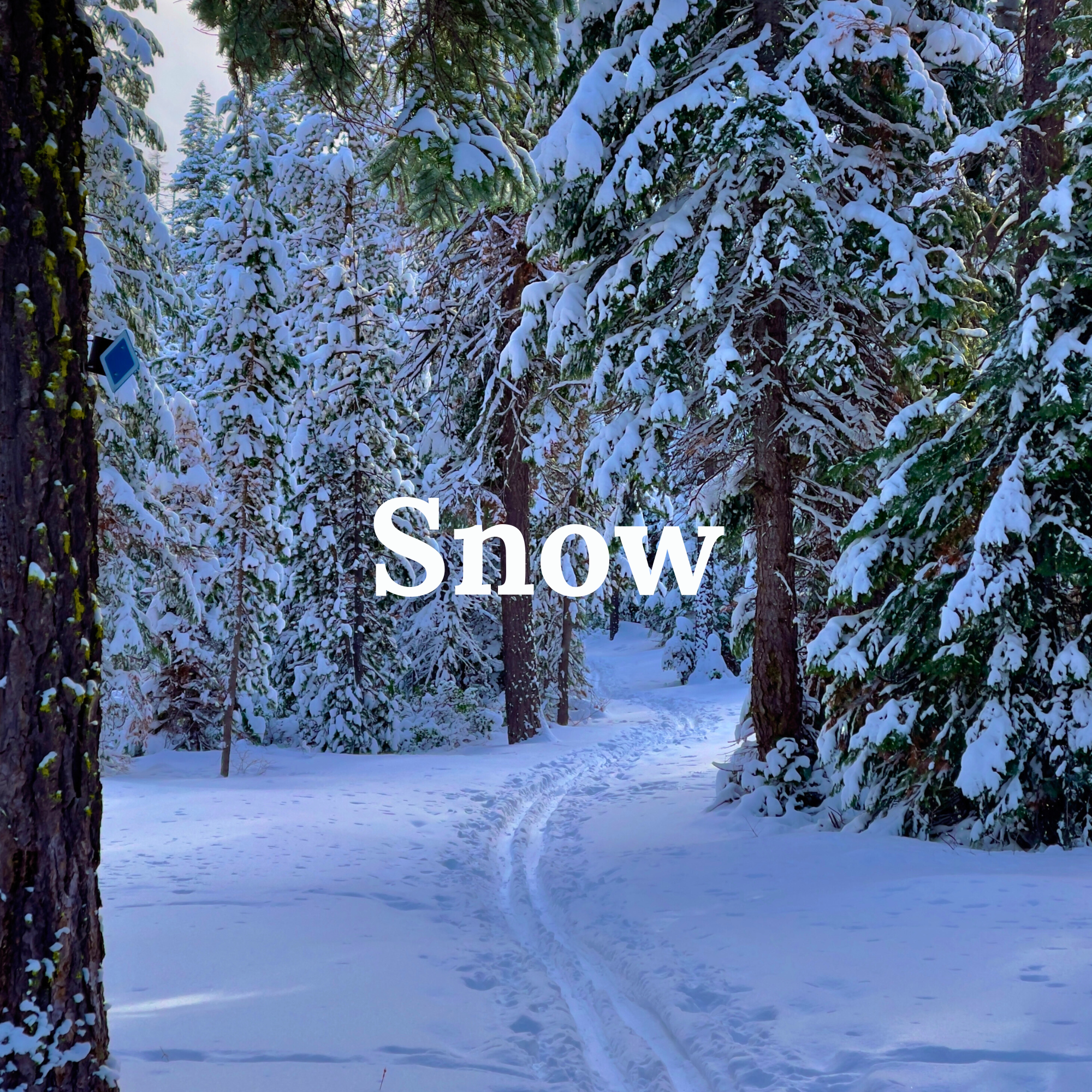 Snow - Outdoor Recreation