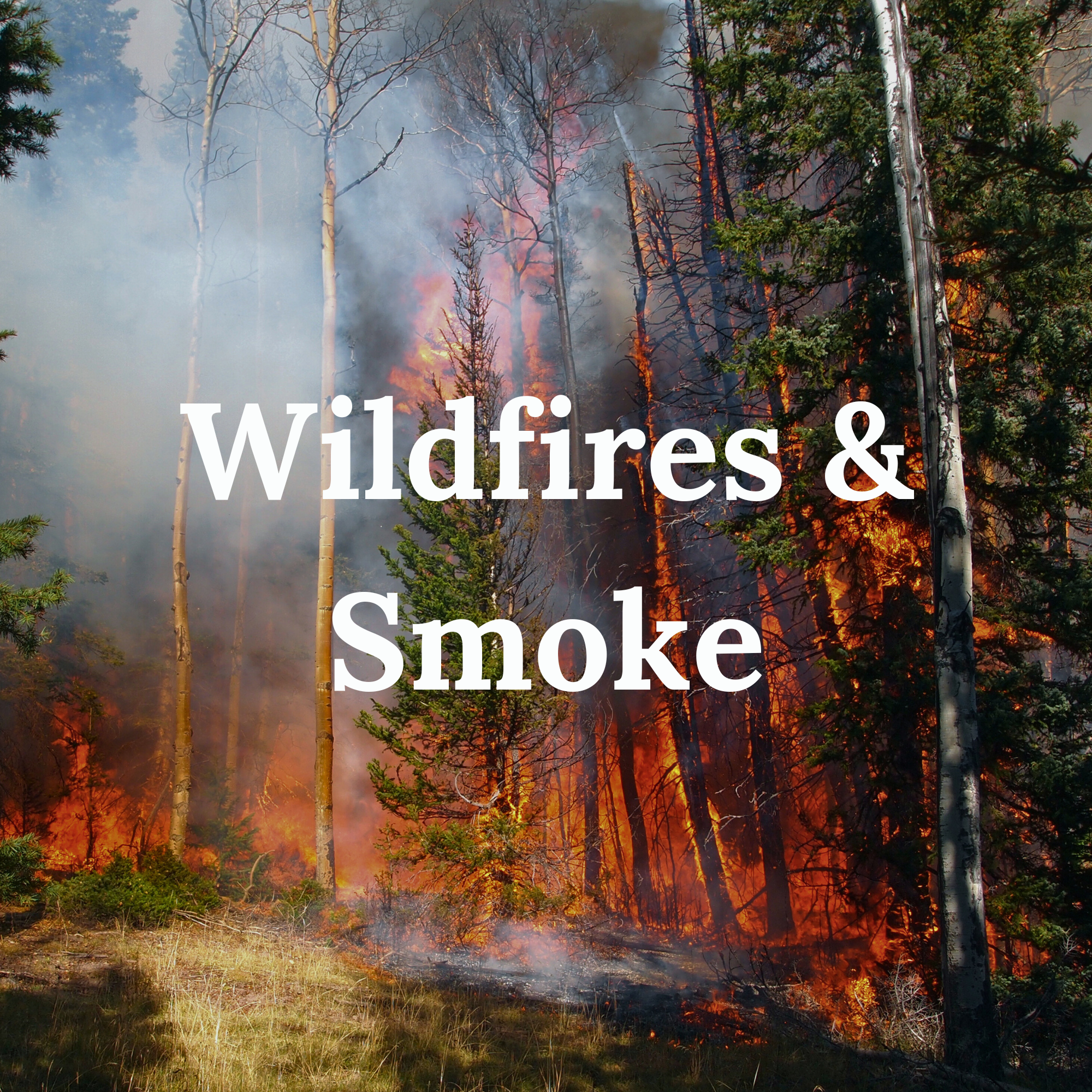 Wildfires and Smoke. All the latest information you need to stay safe and plan your outdoor adventure accordingly.