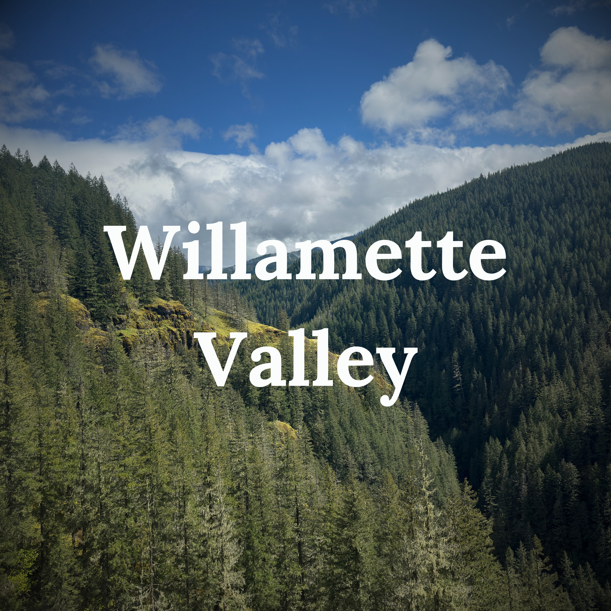 Willamette Valley Mountain Biking