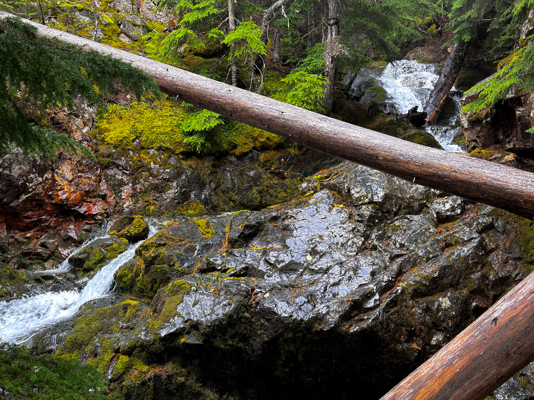 A misty view of Mesatchee Creek Falls in the William O. Douglas Wilderness, surrounded by moss-covered rocks and dense forest.