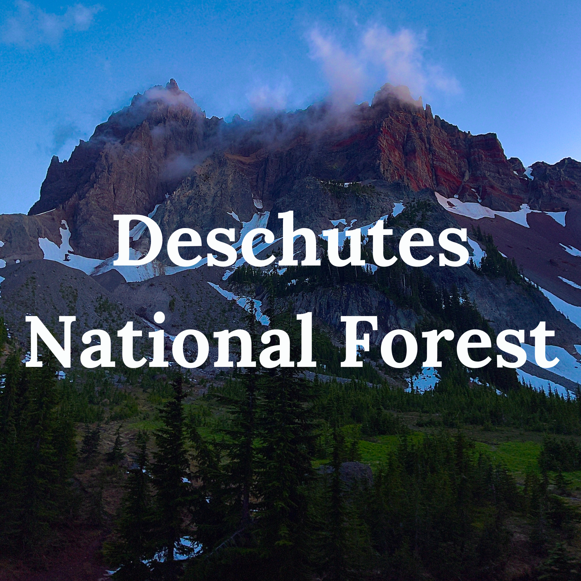 Scenic view of Deschutes National Forest with towering pines and rugged volcanic terrain. Pictured: Three Fingered Jack, Canyon Creek Meadows, Mt. Jefferson Wilderness.