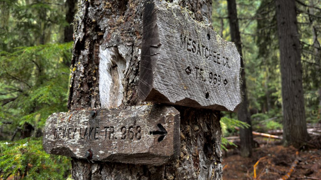 Wooden trail sign on a tree indicating directions for Mesatchee Creek Trail #969 and Dewey Lake Trail #968.