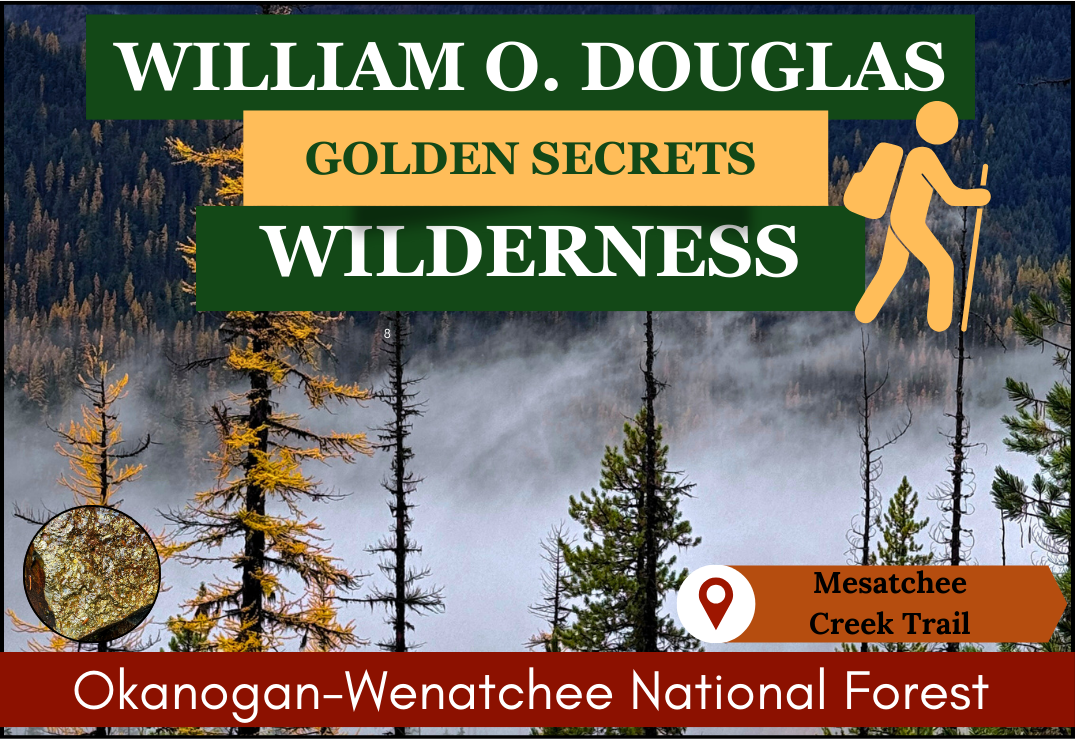 Cover photo for Mesatchee Creek Trail in William O. Douglas Wilderness, featuring golden larches and trail information.