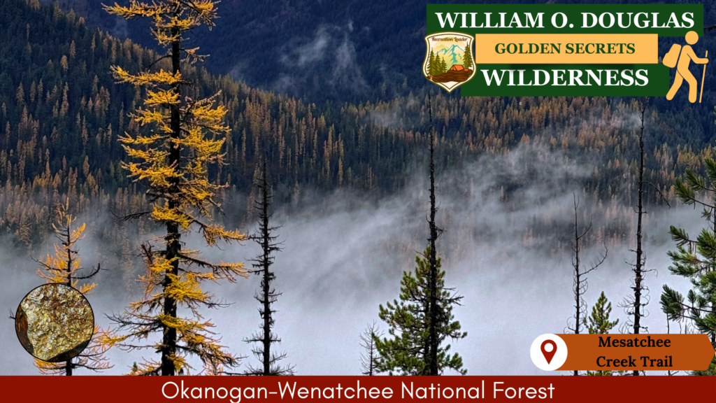 Cover photo for Mesatchee Creek Trail in William O. Douglas Wilderness, featuring golden larches and trail information.