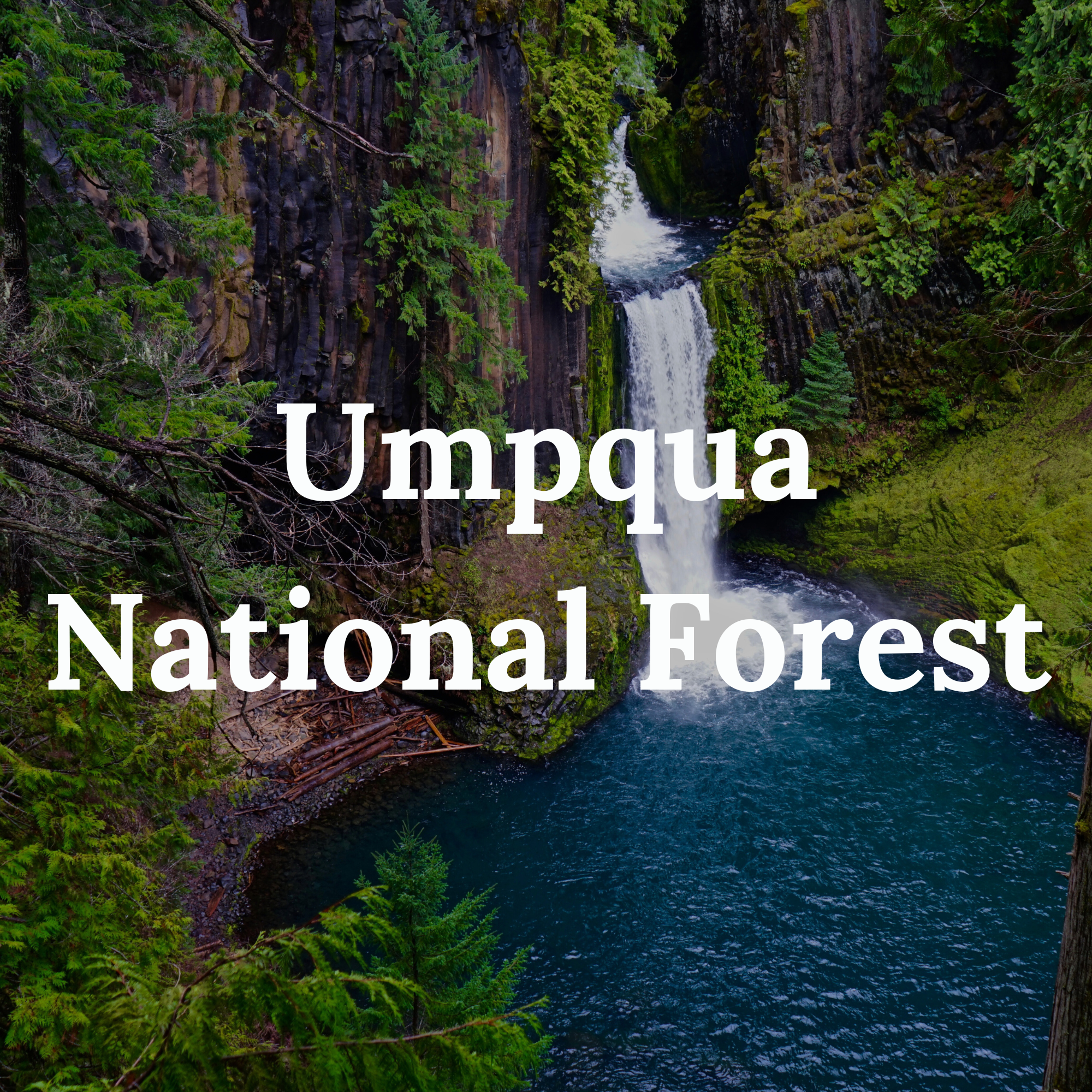 Umpqua National Forest with a serene river flowing through dense woodland. Tokatee Falls.