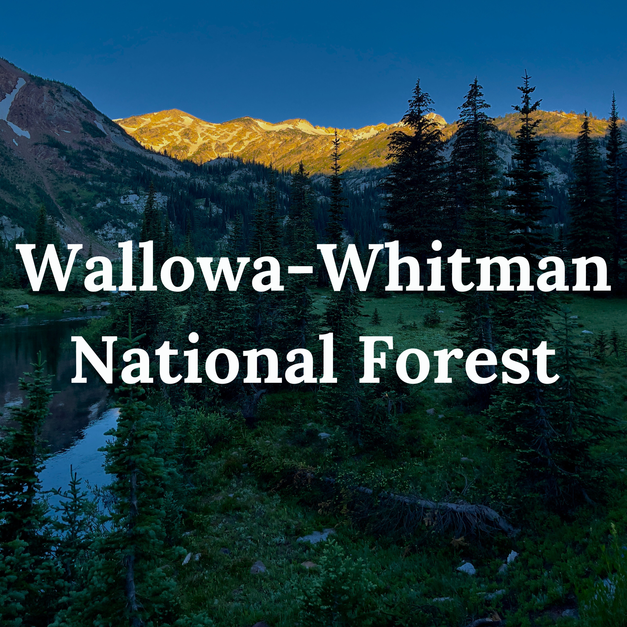 Wallowa-Whitman National Forest with expansive mountain views and rolling meadows.