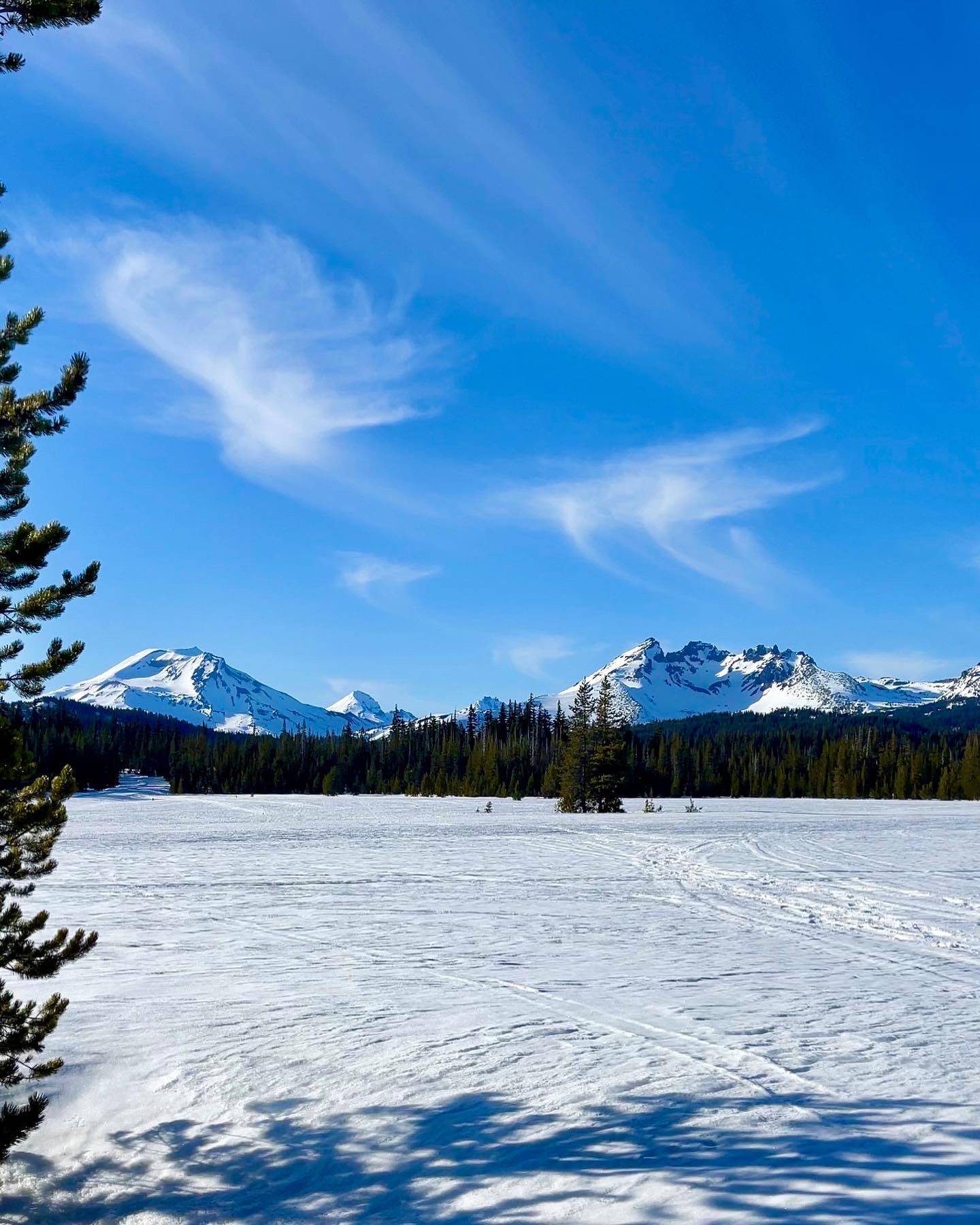 Snow-covered landscape at Dutchman Flat Sno-Park in Central Oregon, framed by pine trees and featuring stunning views of snow-capped Cascade mountains under a vibrant blue sky.