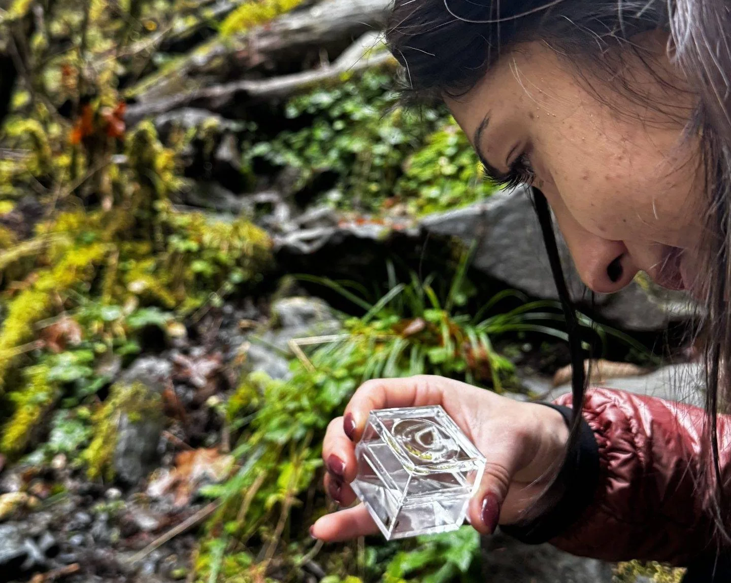 Ms. Maria Mountain looking at macroinvertebrates in Olympic National Park.