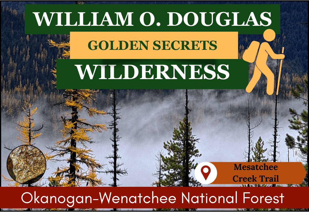 Golden larches and misty forest views in the William O. Douglas Wilderness, highlighting the Mesatchee Creek Trail in Okanogan-Wenatchee National Forest